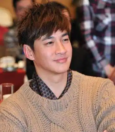 虽然何润东和老婆恋爱13年了,还是没有孩子,但是感情一直很好.