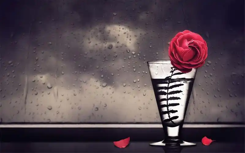 另类个性的创意设计图片电脑桌面壁纸高清下载