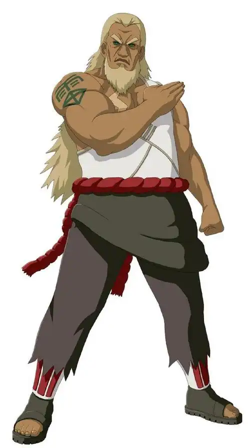 在初步建立五大国之后,为解决讨论尾兽分配问题,陪同初代雷影一起参与