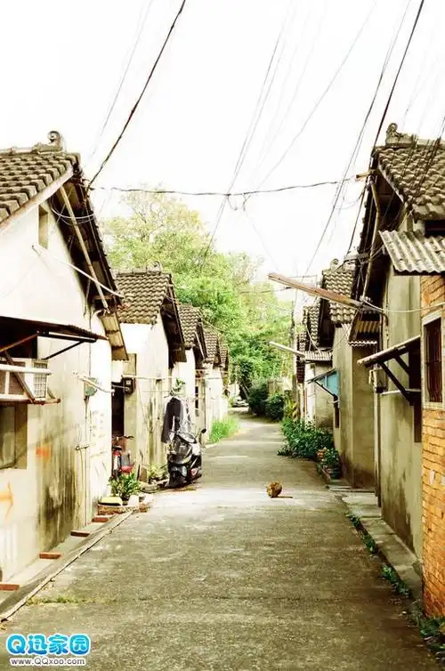 回不去的记忆怀旧意境图_落败的唯美如花似水