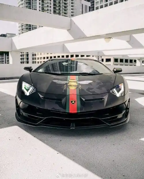 兰博基尼大牛svj?