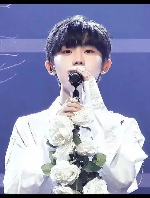 马嘉祺在我荒瘠的土地上你是最后的玫瑰