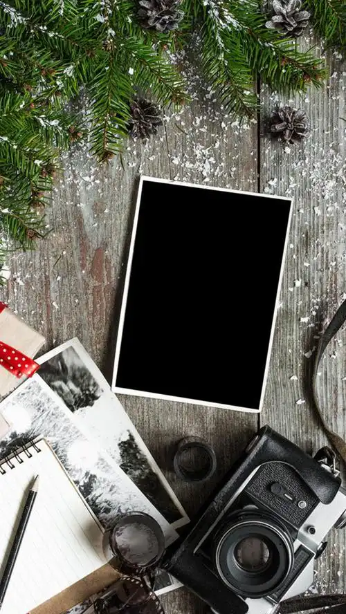 杂志松枝h5背景