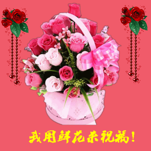 500_500gif 动态图 动图