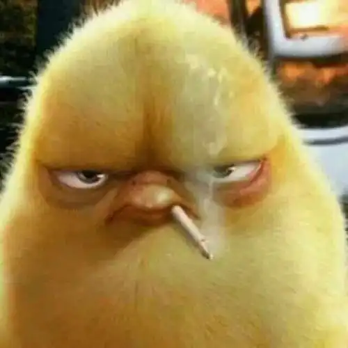 听说你很叼是吗听说你很攀锹听说你