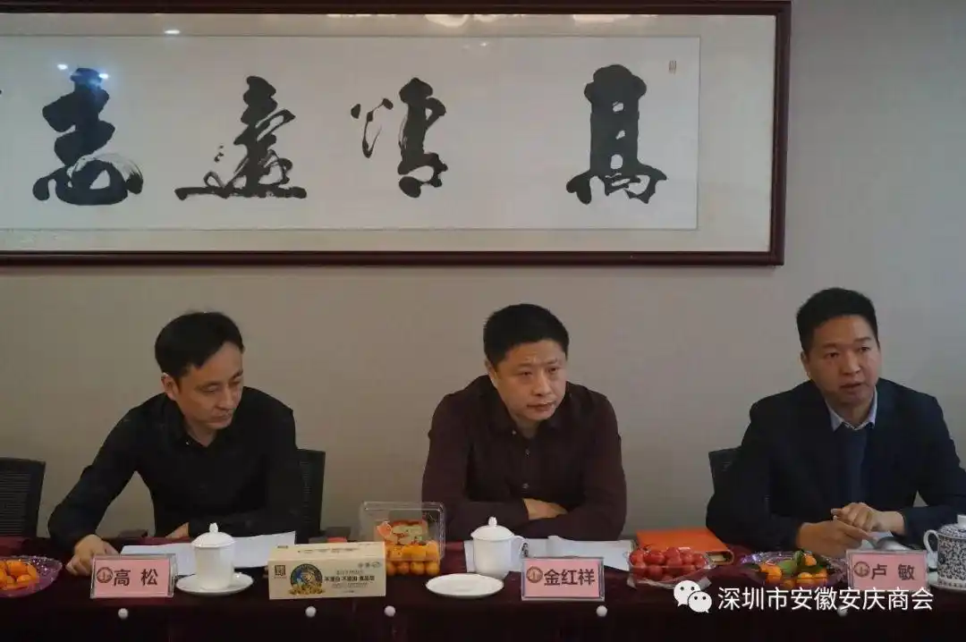 深圳市安徽安庆商会第二届常委会第二次会议召开|商会新闻