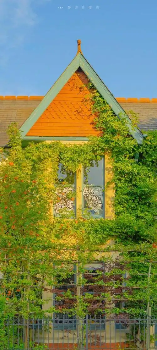 5.12壁纸 | 绝美的一组小清新壁纸,是心动的感觉