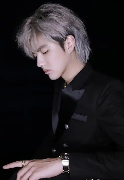 吴亦凡银发亮相真是什么发型都能hold住的凡凡