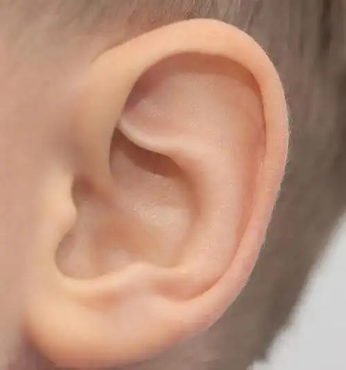 如果一个人的耳朵,颜色呈淡白色,并且经常手脚冰凉,畏寒;正常人的耳朵