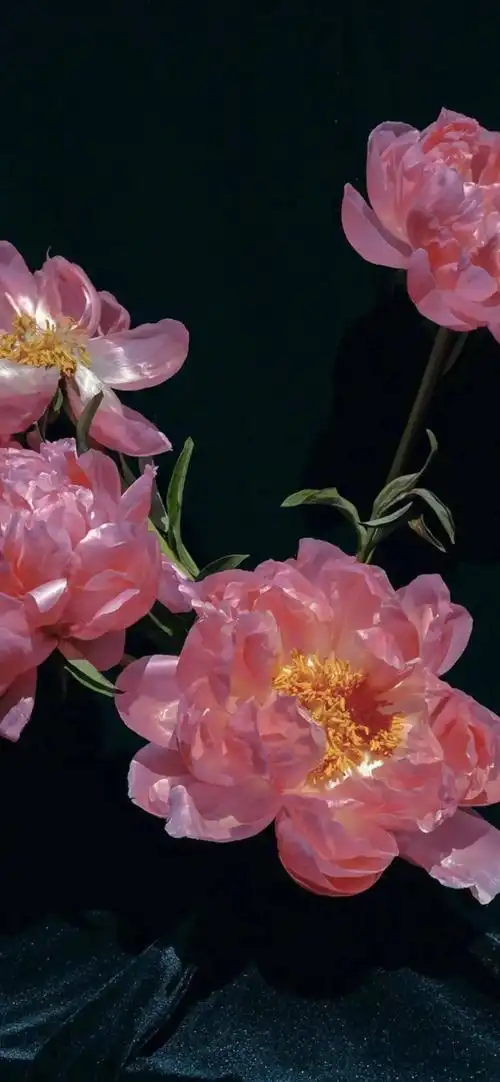 全面屏壁纸2021一起加油