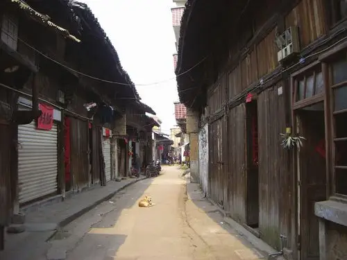 武义报数字报刊平台