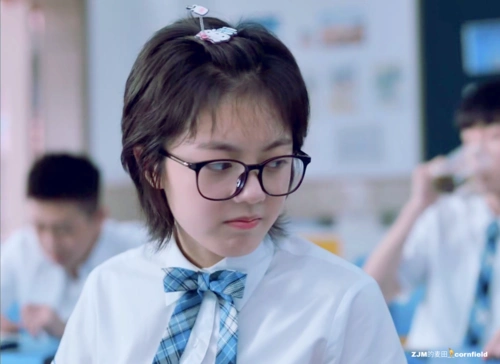 zjm的麦田__cornfield