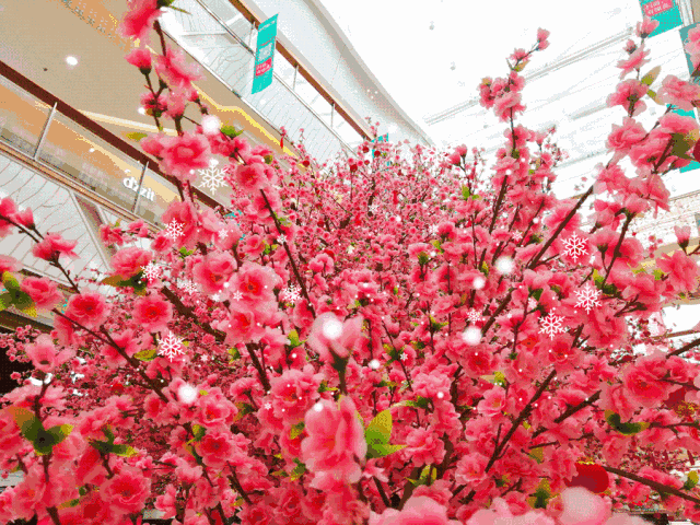 640_480gif 动态图 动图