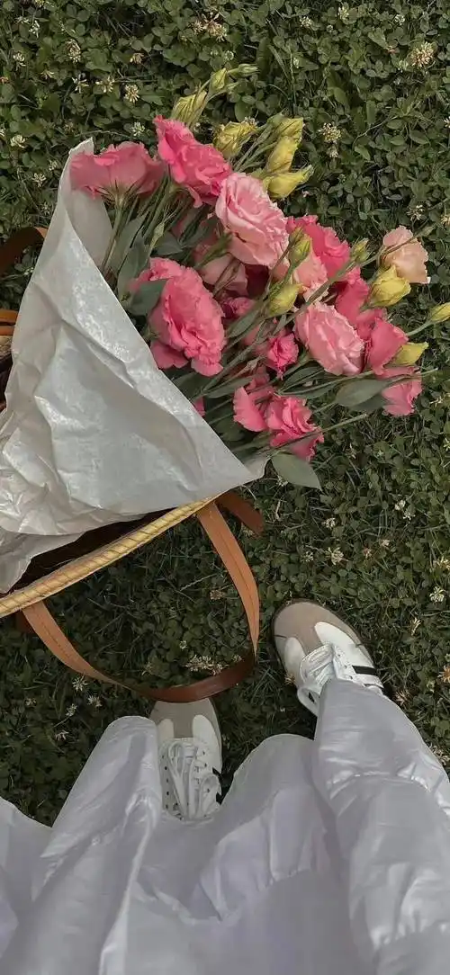 壁纸| "小众高质量无风格" 锁屏壁纸