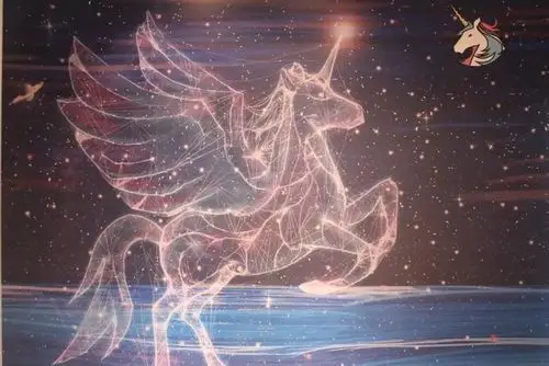 (东城)独角兽星空艺术馆-45元学生票,周末通用