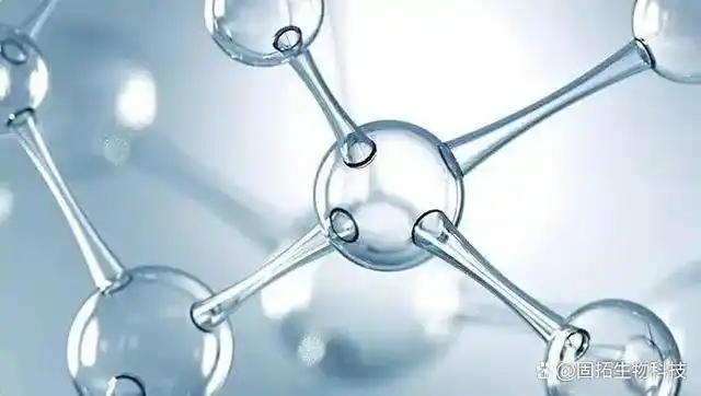 美容胜肽的主要分类有哪些