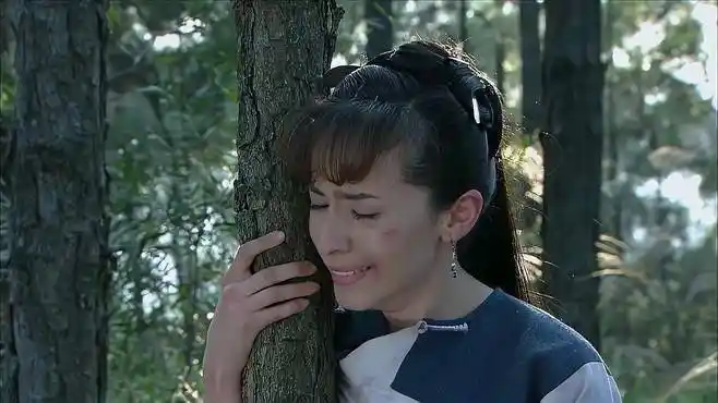 围屋里的桃花:青女被丈夫家暴,浑身是伤,弟弟都看不下去了-影视综视频