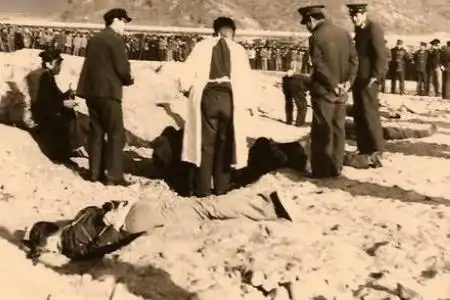 1983年"严打" 处决人数大曝光