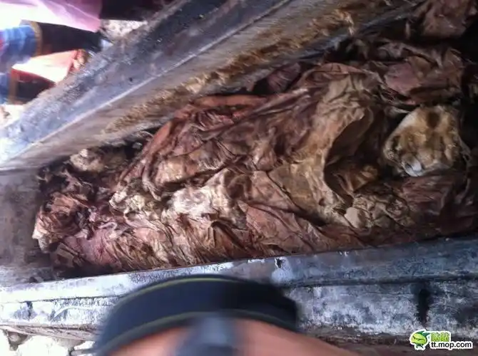 ζ 千年冥婚墓.【带着你的眼睛和我一起来看开棺现场,胆小误入.】