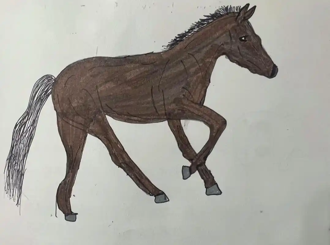 第43篇一匹马96.一起来画马96呀#育儿简笔画 #儿童简笔 - 抖音