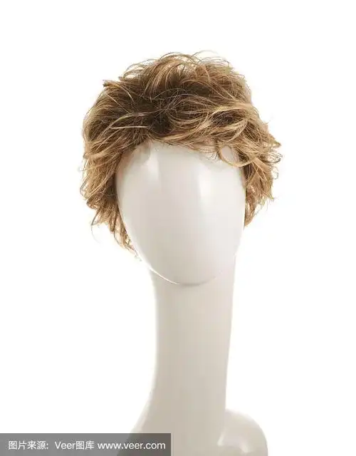假发戴在人体模型头上
