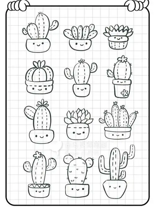 简笔画简单仙人掌球卡通插画零基础画画