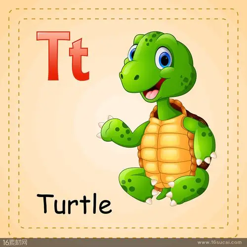 关键词:识字卡片卡通海龟卡通动物形象英文单词卡片边框素材