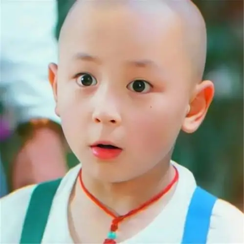 《少年黄飞鸿》等很多的电视剧在释小龙成功走红的时候他的父母就用