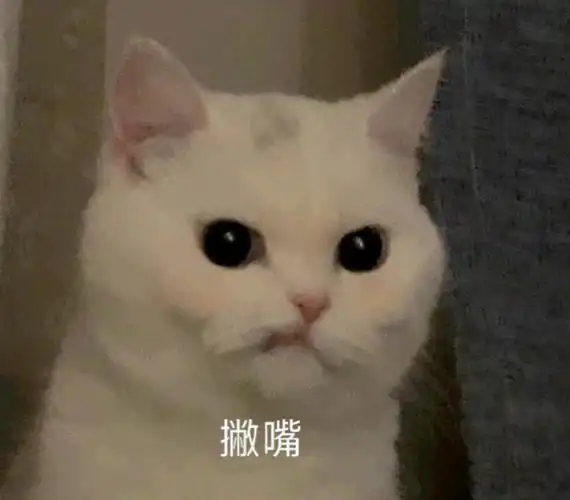 撇嘴撇嘴猫表情包