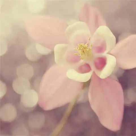 小清新唯美lomo意境森系图片大全