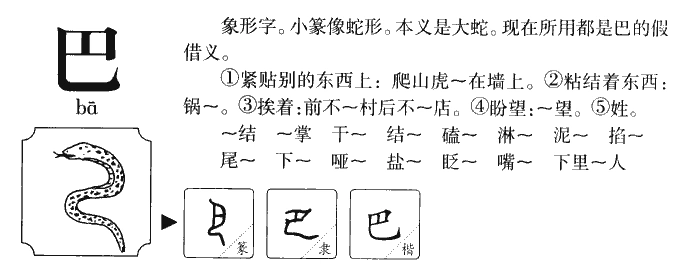 巴有几画笔顺是怎样