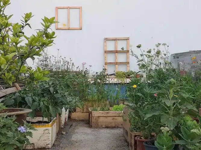 晒晒我的小花园