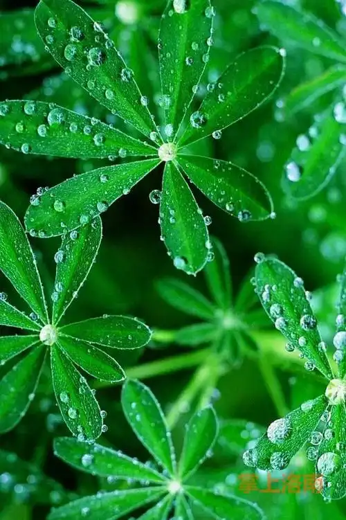 分享几张保护眼睛的屏保