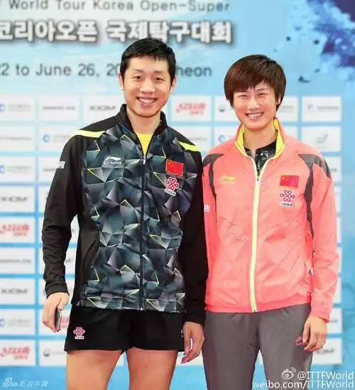 韩乒赛丁宁夺得女单冠军