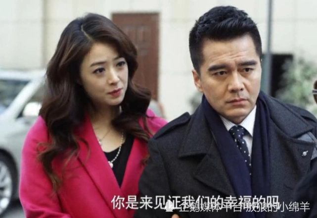 重温《守婚如玉》才明白,若不是触及儿子,赵明齐会一直心存侥幸