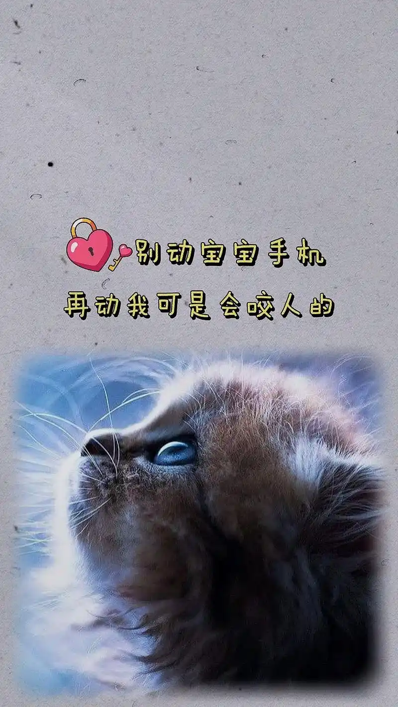 图文伙伴计划 #壁纸 #锁屏壁纸@dou 小助手 别动宝宝 - 抖音