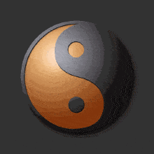 太极拳只有阴阳,别扯八卦