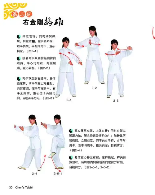 超级新品 陈式太极拳标准56式(书 dvd)