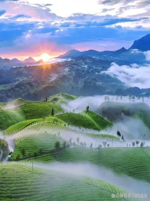 美图欣赏——清晨的梯田:迷雾中的美景