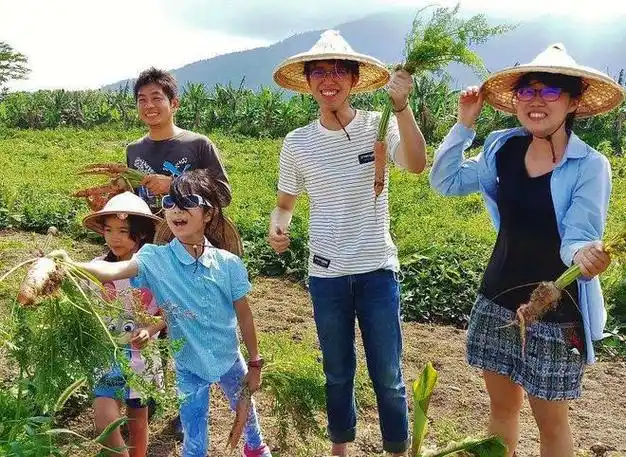 假期,父母多带孩子出去"浪",孩子的大脑会发生惊人变化