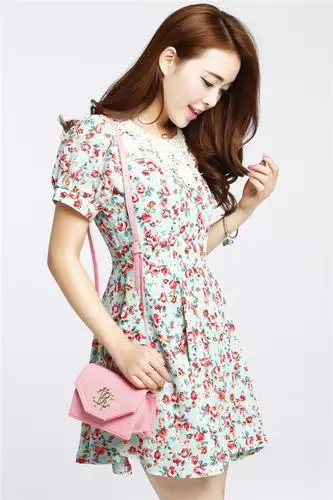 夏装新女装 韩版时尚 碎花短袖 雪纺连衣裙 品质保证 厂家直销图片_21