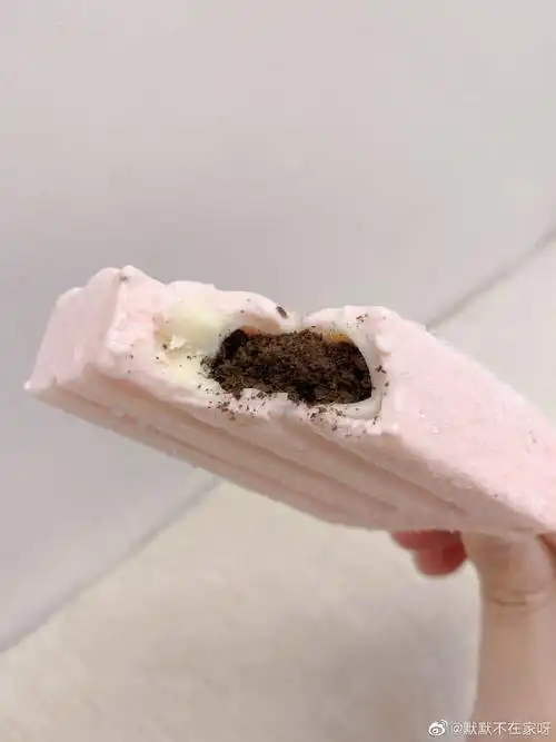 网红雪糕##雪糕##雪糕刺客