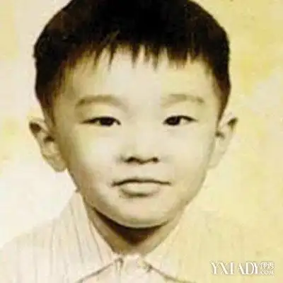 郑伊健小时候照片大全 《来吧冠军》挑战林丹重燃友情岁月