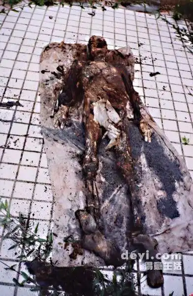 转别个的武汉灵异事件~~!