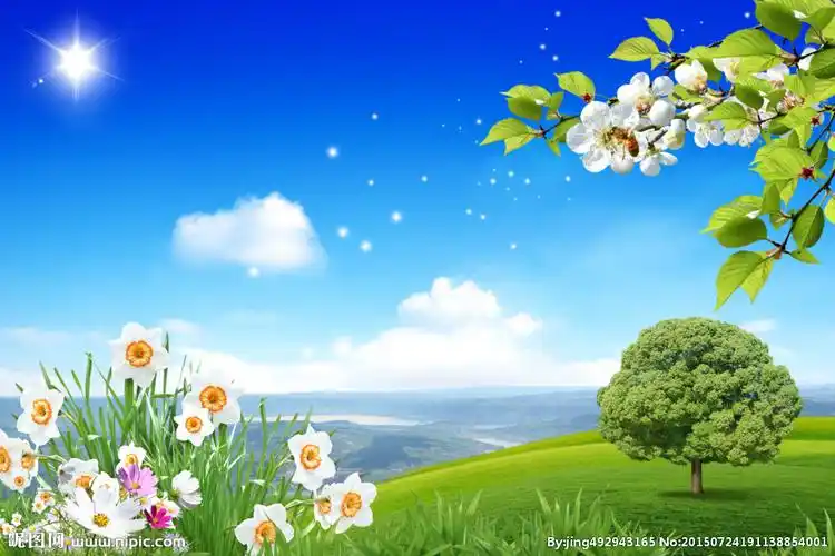 rgb40共享分关 键 词:风景 风景图 风景图片 风景画 花 花朵 蓝天