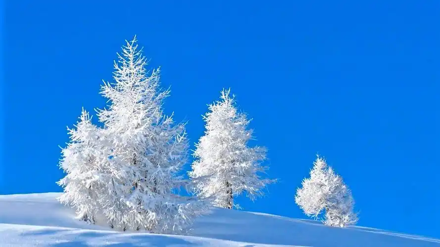 冬季唯美雪景高清桌面壁纸