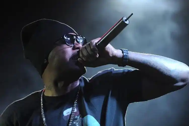 将匪帮生活带入流行文化的nas也曾在艺术领域为hiphop争取到立锥之地