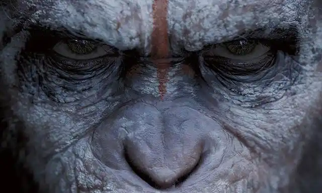 特写镜头拍摄如何捕捉情感和动作细节