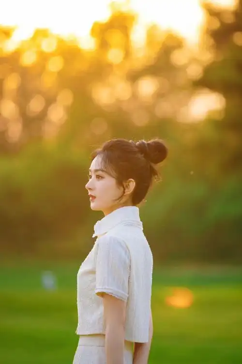 赵丽颖九宫格露营照