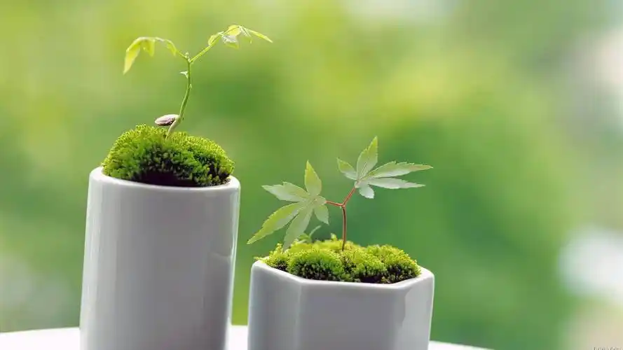 东北师范大学函授专科报名时间考